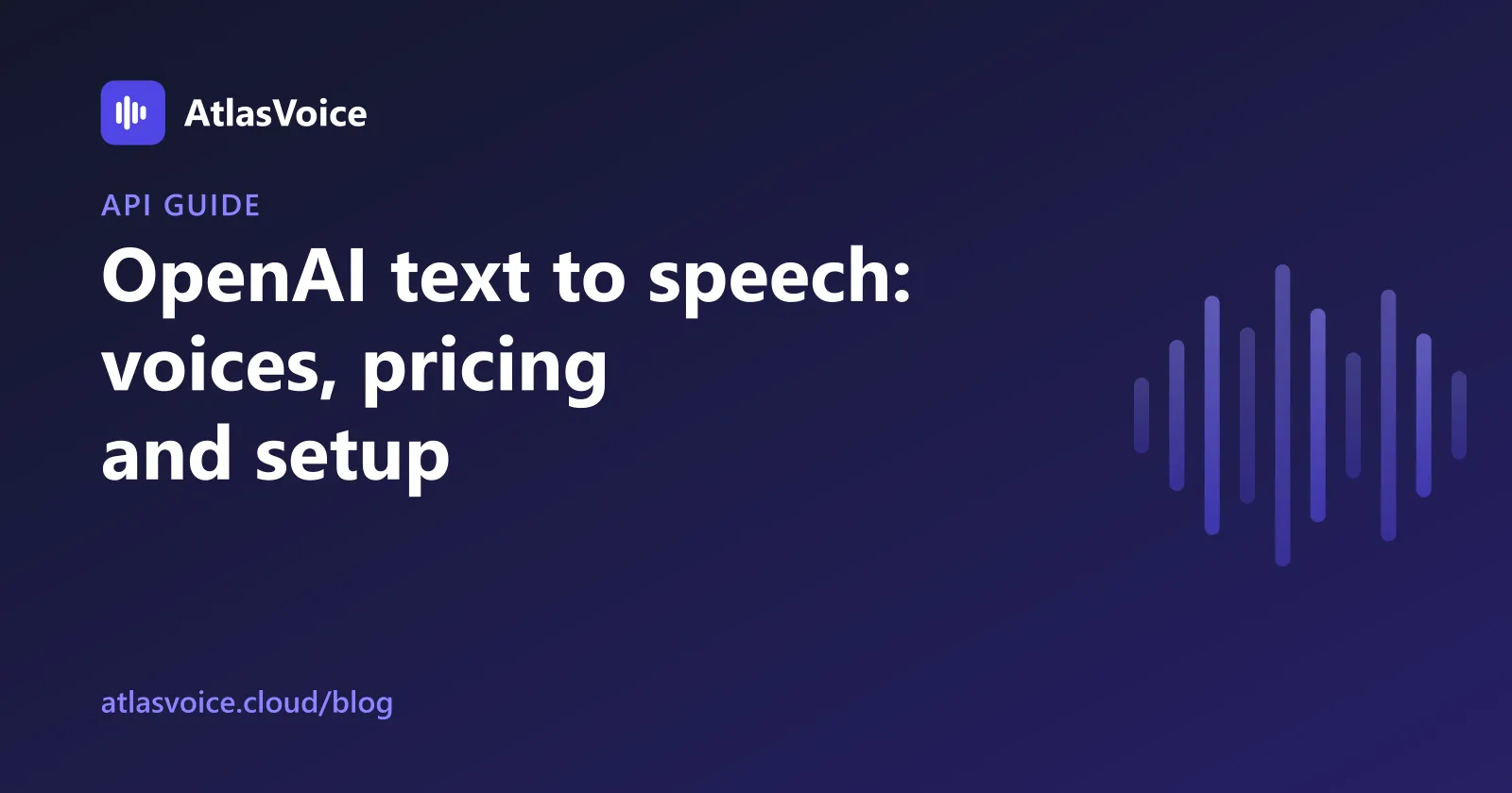 OpenAI Text to Speech: Voices, Pricing, API and WordPress — AtlasVoice blog